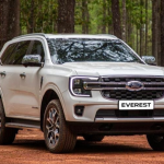 Tại Việt Nam, các phân khúc xe phổ biến gồm sedan và SUV